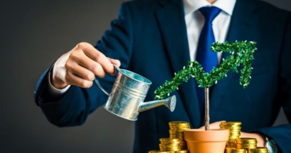 Yatırım Fonlarının Getiri Analizi Nedir ve Nasıl Yapılır?