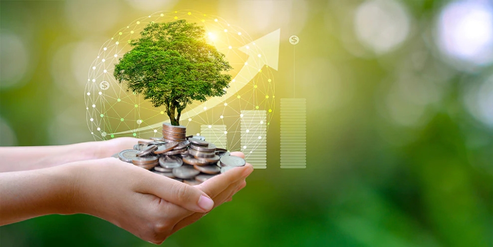 Para Biriktirmek İçin En İyi Yollar: Finansal Hedeflerinize Ulaşmak İçin Nasıl Tasarruf Edersiniz?